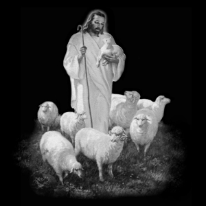 Jesus and Sheep